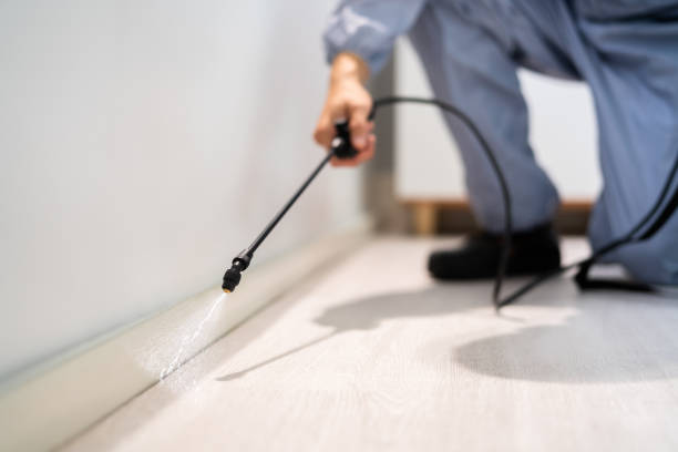 Licensed Pest Control service in Marion, IL - Show Me Pest Control